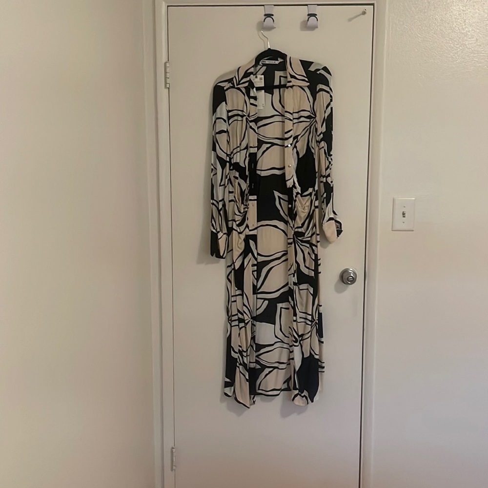 Zara dress